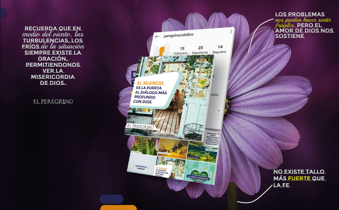 Creación de marca